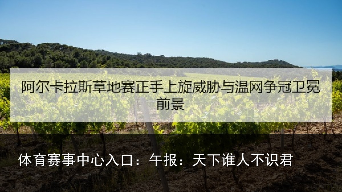 体育赛事中心入口：午报：天下谁人不识君