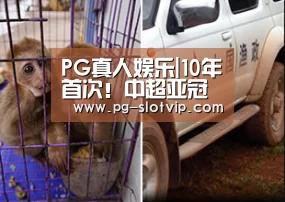 PG电子官方网站
